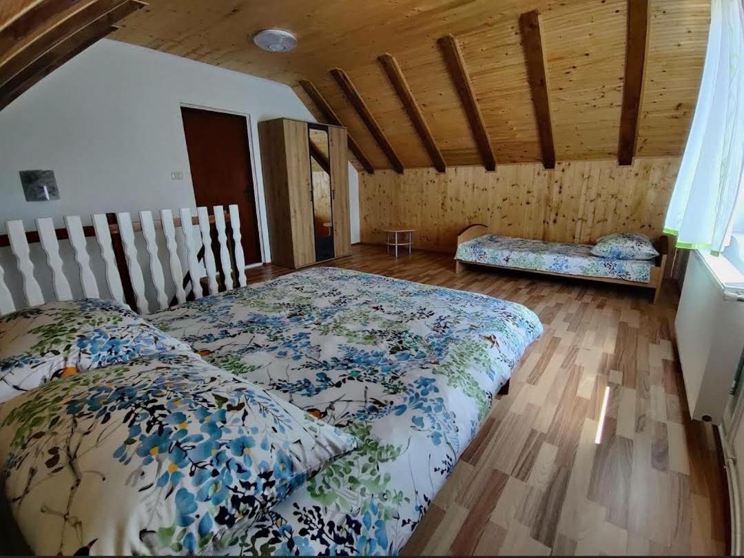 Apartman Niki Lič Zewnętrze zdjęcie