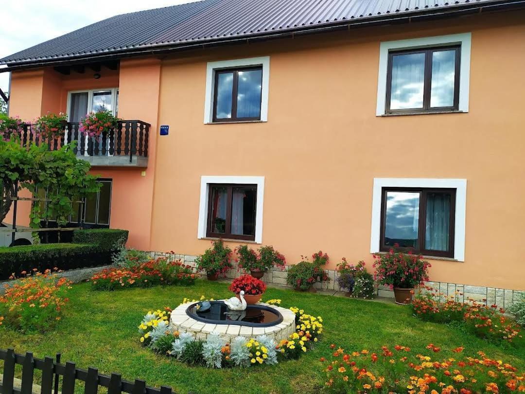 Apartman Niki Lič Zewnętrze zdjęcie