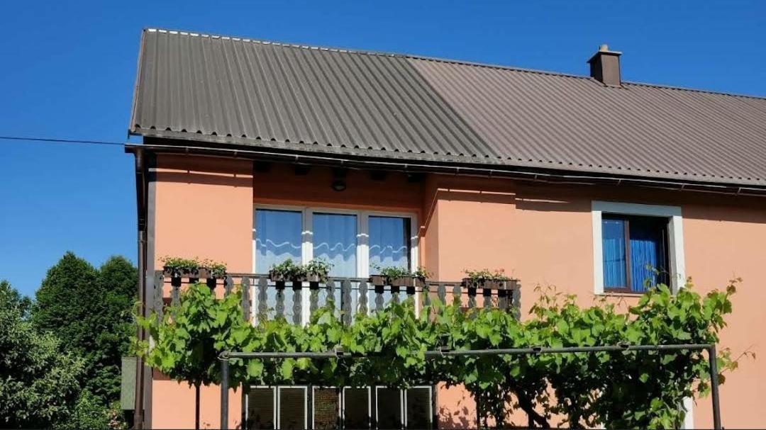 Apartman Niki Lič Zewnętrze zdjęcie